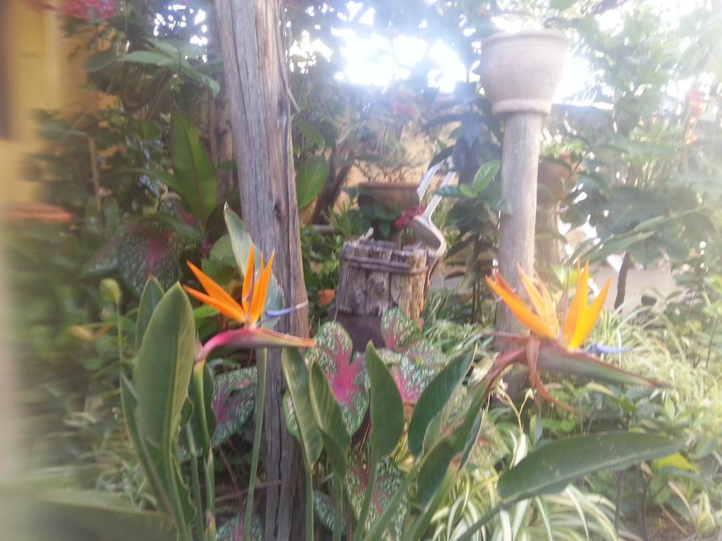 Itaúna Hostal
